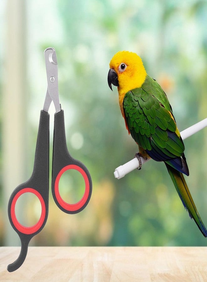 Kodrily Bird Nail Clippers, Stainless Steel Small Animal Nail Clippers, Half Moon Pet Nail Scissors, Plastic Handle Pet Nail Clipper Scissors, Clipper Bird Grooming for Small Parrot Birds - Image 3